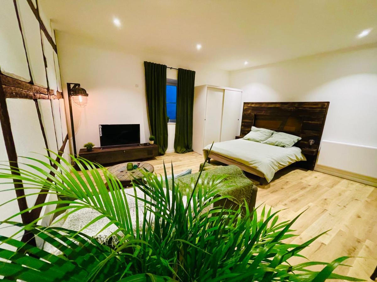 Le Ptit Chauffour - Hyper Centre De Colmar & Au Calme Apartment ภายนอก รูปภาพ